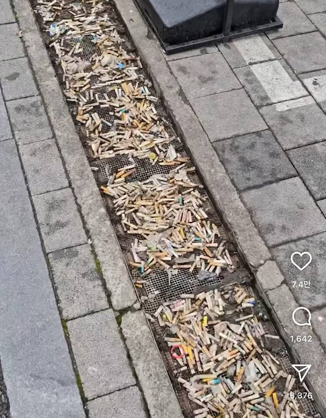 [사진=인스타그램 '@1trash1follow' 계정 갈무리]