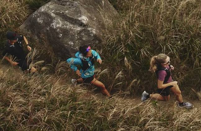 ◇'2025 TNF 100 강원 위드 벡티브'. 사진=노스페이스 인스타그램