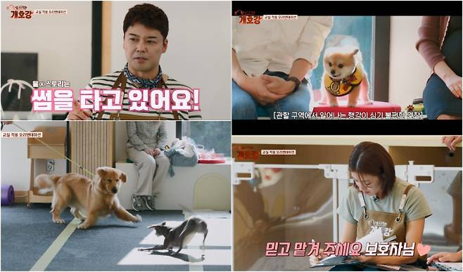 ‘집 나가면 개호강’ (제공: JTBC)