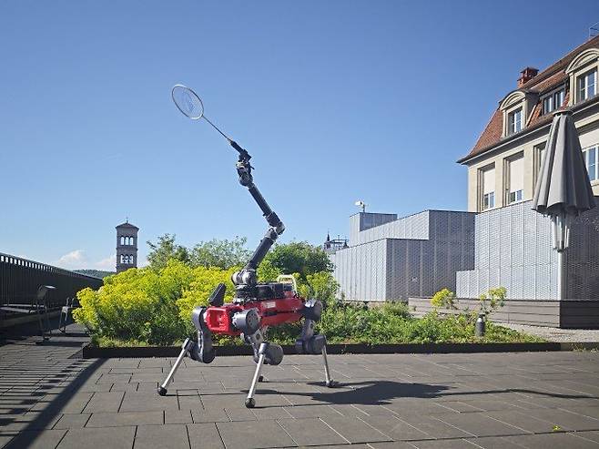 스위스 취리히연방공대 로봇시스템연구소에서 개발한 배드민턴 로봇 ‘애니멀-D(ANYmal-D)’. 취리히연방공대 제공