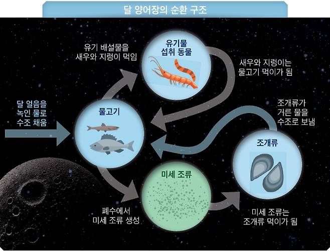 [이영완의 사이언스카페 | 프랑스, 달 기지서 농어 양식] 달에서 농어 낚시…우주 양어장으로 실현한다
