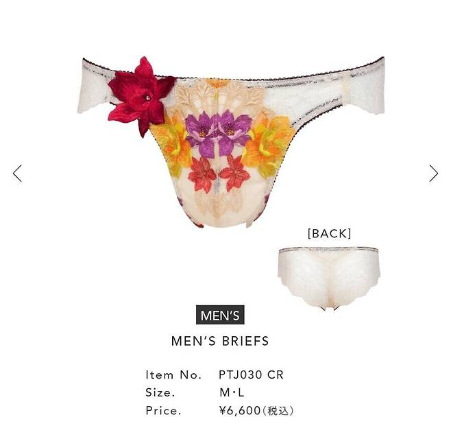 일본 고급 승부속옷 근황.jpg