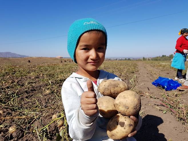 제주 감자 품종 '탐나'를 들고 있는 중앙아시아 지역 어린이. 병해충 저항이 뛰어난 '탐나'가 해외에서도 각광을 받는다. (사진, 제주자치도)