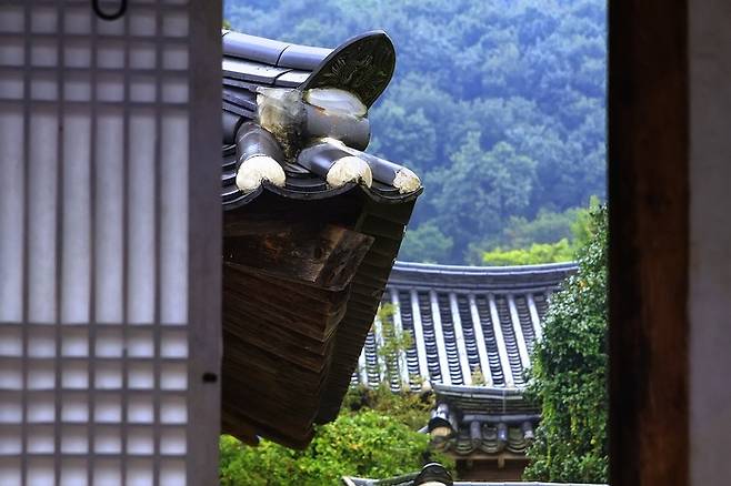 여름휴가(사진은 기사와 직접적 관련 없음) / 사진=PIXABAY