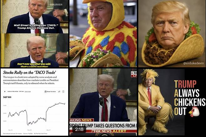 트럼프를 비꼬는 신조어 '타코(TACO)'를 활용한 밈(meme) 이미지들이 X에 올라와 있다.