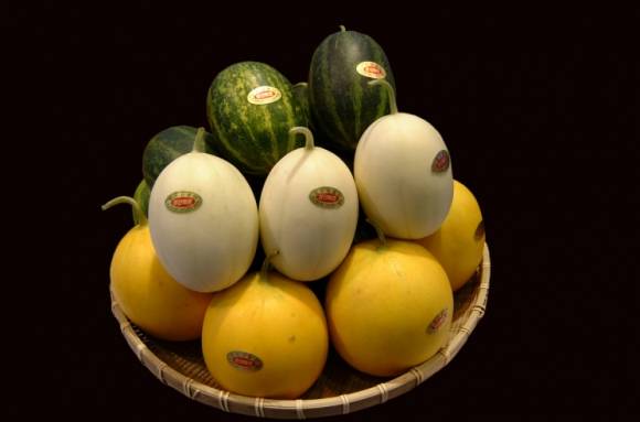 고령 멜론. 고령군 제공