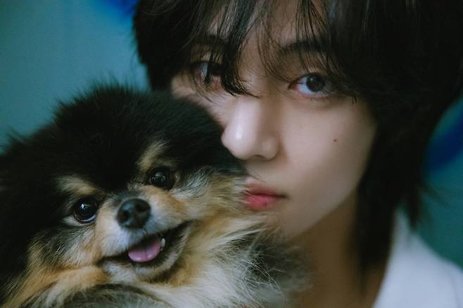 '캡틴 코리아의 귀환' 방탄소년단 뷔 韓팬들 서울→ 춘천 전역 축하이벤트