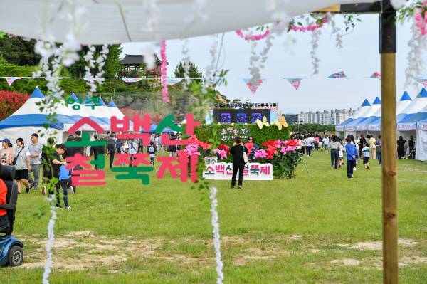 지난 2024년 소백산 철쭉제 행사장 모습