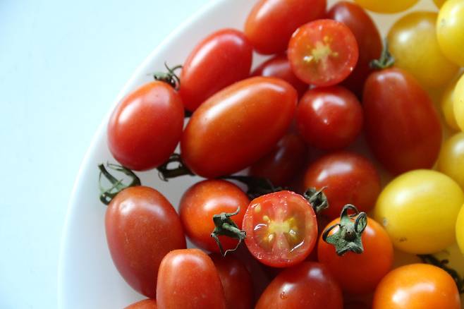 방울토마토는 맛도 좋지만 94%가 수분으로 칼로리가 아주 낮아 다이어트 식품으로 제격이다. [사진= 게티이미지뱅크]