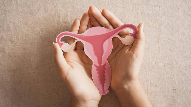 임신이 아닌데도 생리가 3개월 연속 없었다면 의사와 상담해보는 것이 좋다