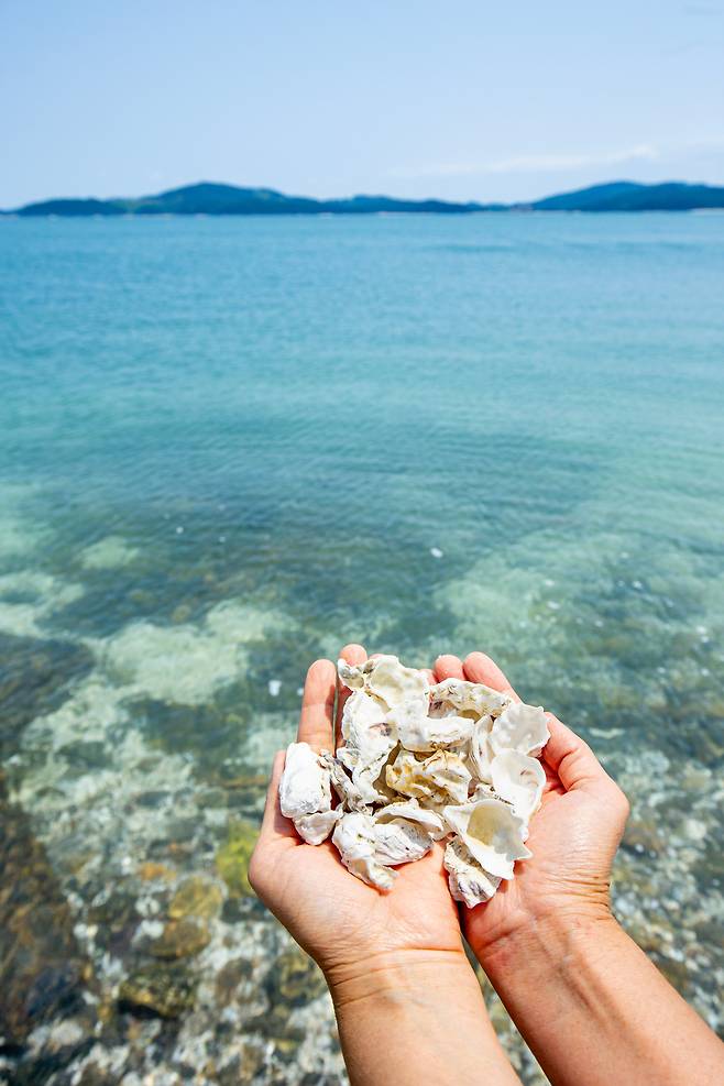 바다 색감과 대비를 이루며 '민어도' 해변을 이국적으로 보이게 하는 하얀 굴 껍데기가 지천으로 깔려있다. / 김용재 영상미디어 기자