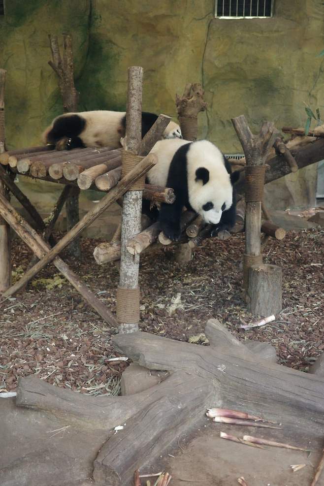 7a9bf173b6f11e8423edf4e3449c7018d836f7841b582e9d5c2fcbd3a9b96bd45b4e572640da426d4f1f083f9f9a1c8d7b0c513b37