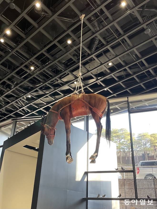 마우리치오 카텔란의 작품 ‘노베첸토’(1997). 서양에서 말이 상징했던 권위, 영웅, 제국주의 이미지를 축 늘어진 사체로 전시해 20세기와 전통의 몰락을 표현했다.