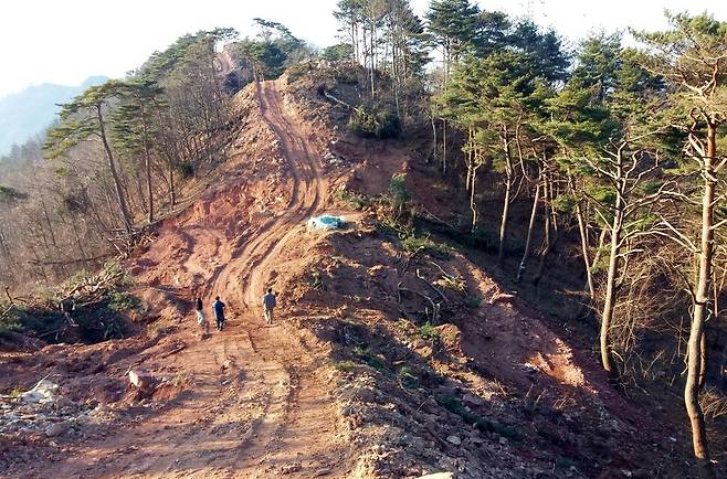 2017년 경북 영양의 백두대간 능선 부분이 풍력발전 단지 개발 공사로 훼손돼 있다. 박용훈 사진작가 제공