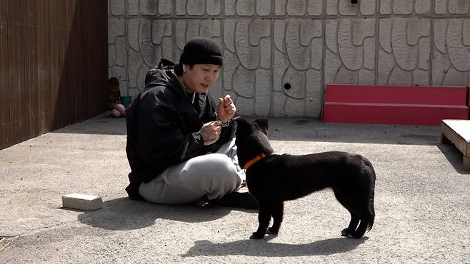 잉크에게 간식을 주며 자신에게 다가오길 바라는 준혁씨의 모습. 최민석 기자