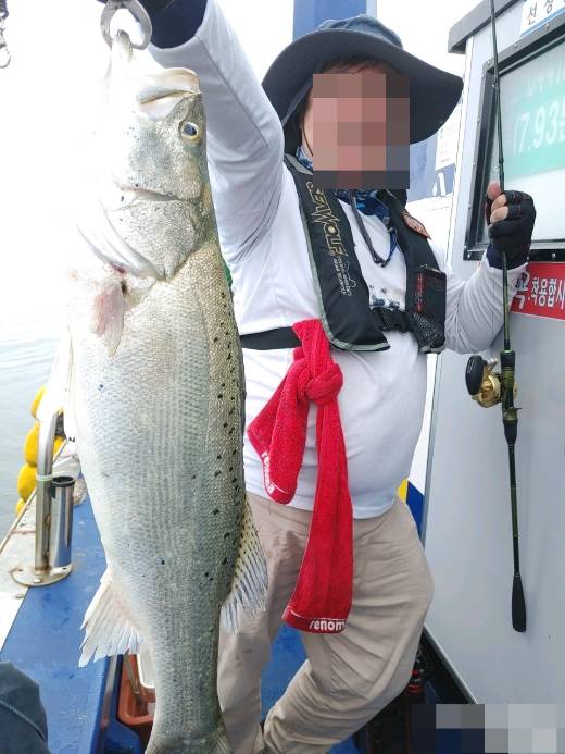 매년 6월 찾던 천수만의 점농어도 올해는 보지 못하게 생겼다. /사진=최우영 기자