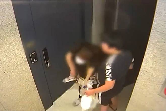 제주 한 달 살이를 목적으로 교외 체험학습 신청서를 제출했으나 전남 완도로 향한 조 양 가족은 2022년 5월 30일 밤 11시쯤 전남 완도의 한 풀빌라 펜션의 CC(폐쇄회로)TV 영상에서 마지막으로 포착됐다. 영상 속 조 양은 엄마 등에 업혀 나왔고, 이들 가족은 이후 주차장에서 은색 아우디 차량을 탄 채 펜션을 떠났다./사진=YTN '뉴스와이드' 보도 화면