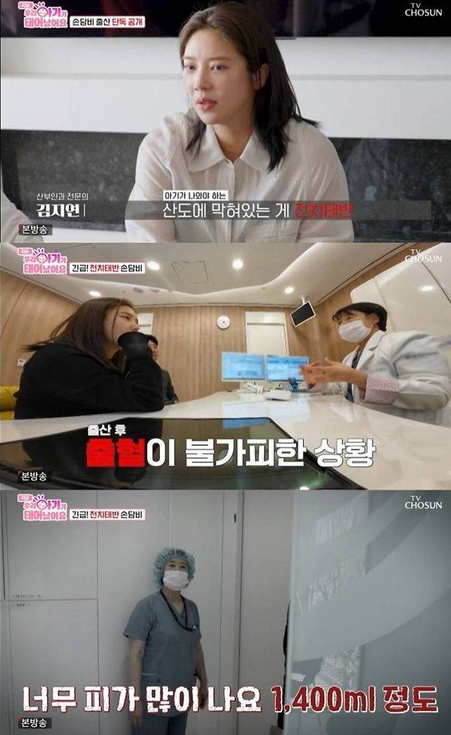 손담비