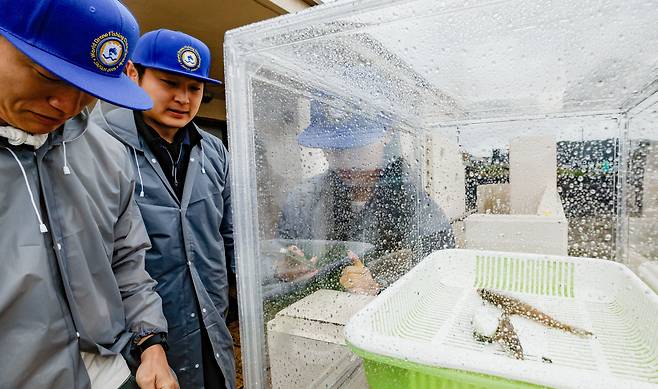 31일 일본 카나가와현 가마쿠라시 에노시마섬 일원 자이모쿠자 해변에서 열린 '2025 세계드론낚시대회 in Japan'에서 1위를 기록한 한국 MEIHO 팀이 동시에 낚은 3마리의 무게를 재고 있다.