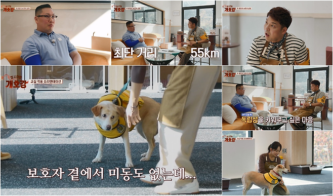 JTBC ‘집 나가면 개호강’