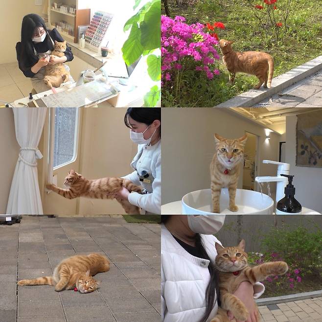 ‘동물농장’. 사진| SBS