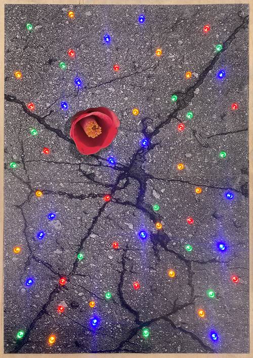 정평한 作 아스팔트에 박힌 별, 2025, 혼합재료 /A4액션추진위원회 제공