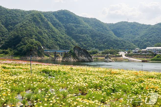 단양군 도담삼봉 인에 핀 대채로운 봄꽃.(단양군 제공, 재판매 및 DB금지)/뉴스1