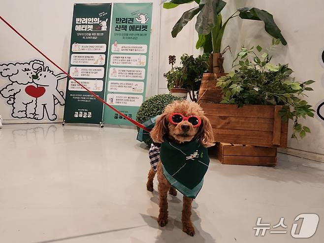 킁킁쿵쿵 캠페인 스카프를 매고 행사에 참여하기 위해 대기 중인 반려견 ⓒ 뉴스1 한송아 기자