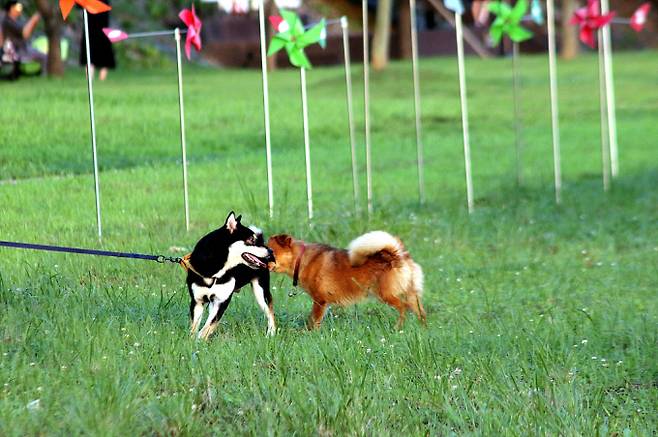 오늘날씨, 내일날씨, 주간날씨 예보 ⓒbnt뉴스= 6월 첫날인 오늘, 기상청 날씨 예보에 따르면 이날 기온이 평년(최저~17도, 최고 23~28도)과 비슷하겠다고 예보했다. 낮 기온은 내륙을 중심으로 30도 내외로 오르면서 덥겠다.
