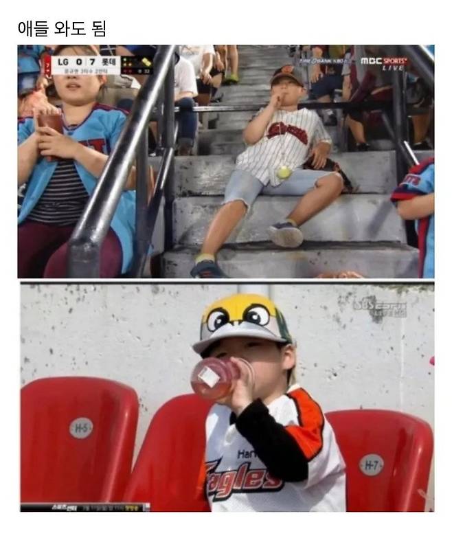Internet_20250601_000223_2.jpeg 천만관중 야구 직관 장점 중 하나 “금기사항이 적음” .jpg