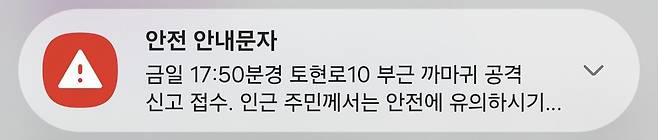 오늘자 까마귀 군주가 출현한 부산광역시