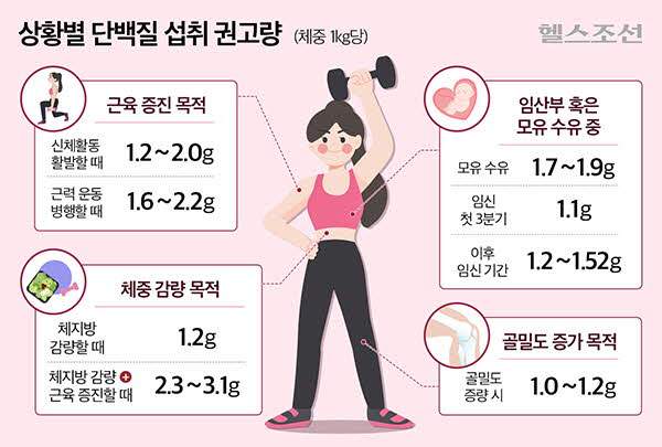 원하는 건강 목적에 따라 필요한 단백질 양이 다르다./그래픽=김민선