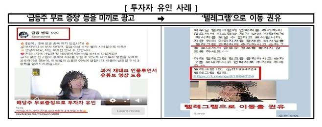 [자료 = 금감원]