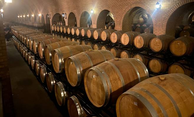 쥔딩 와이너리 지하 와인셀러. 약 3000여개의 오크통이 보관돼 있다./사진=우경희 기자