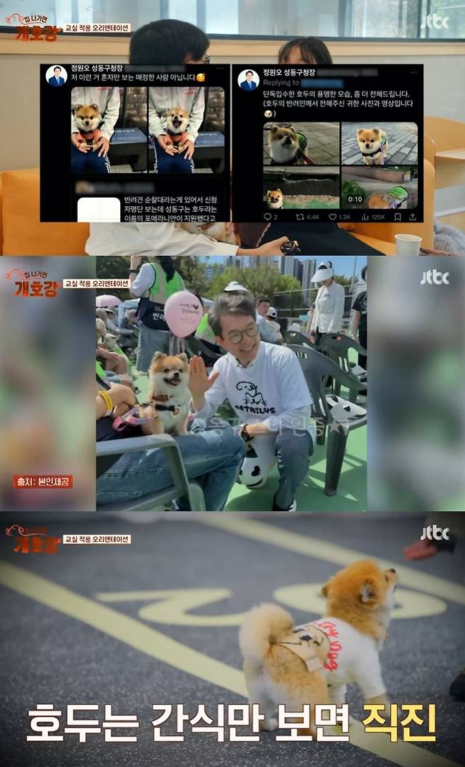 JTBC ‘집 나가면 개호강’