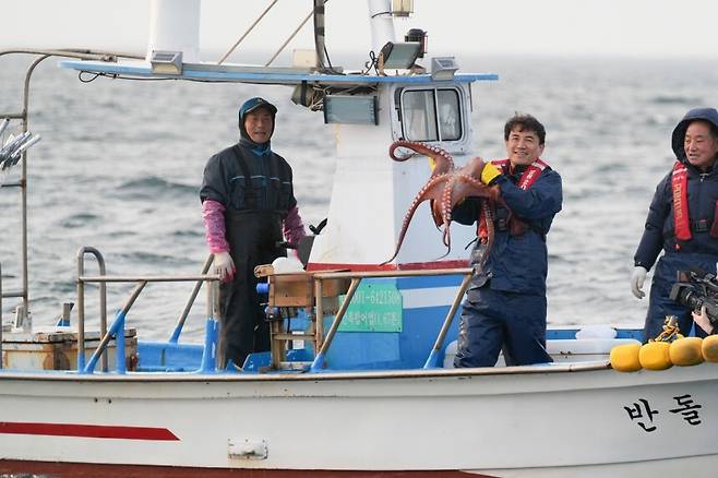 김진태 강원도지사가 지난달 17일 동해안 최북단 저도어장에서 대문어를 잡고 있다. 강원도 제공