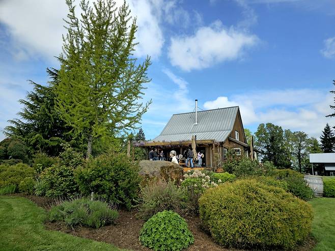 오리건주 던디 힐 와이너리 그랜빌 전경.