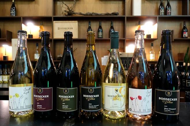 보에데커 셀라스 와인.