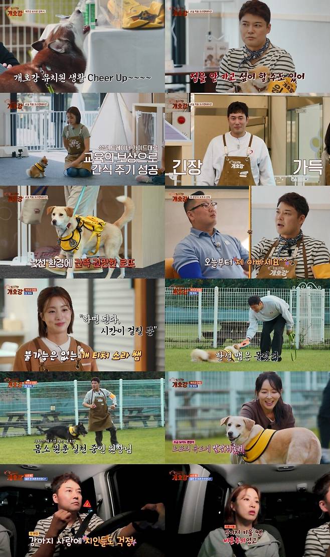 ▲ 제공|JTBC '집 나가면 개호강'