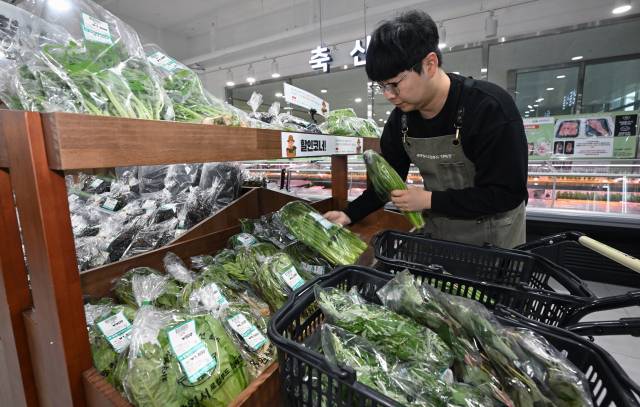 김태형 기자가 창원시 성산구 대원동 경남사회적경제혁신타운 본관동 1층 창원시 로컬푸드직매장에서 하루 지난 채소를 할인 매대에 진열하고 있다./김승권 기자/