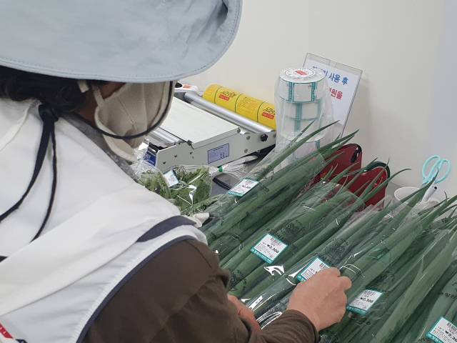 한 농민이 창원시 성산구 대원동 창원시 로컬푸드직매장 소포장실에서 직접 수확한 농산물에 생산지와 출하일시, 가격 등이 적힌 라벨을 붙이고 있다./김태형 기자/