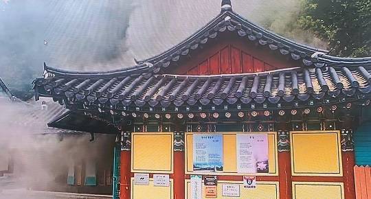 사진출처:세종소방본부