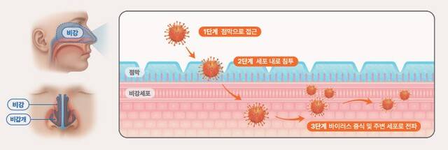 코로나, 홍콩·대만 확산… 감염병 3단계 예방법 