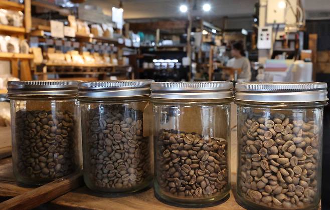 서울의 한 커피 전문점에서 고객들이 커피 원두를 살펴보고 있다. 사진은 기사 내용과 무관. /뉴스1