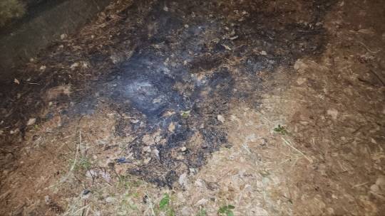 대전소방본부 제공