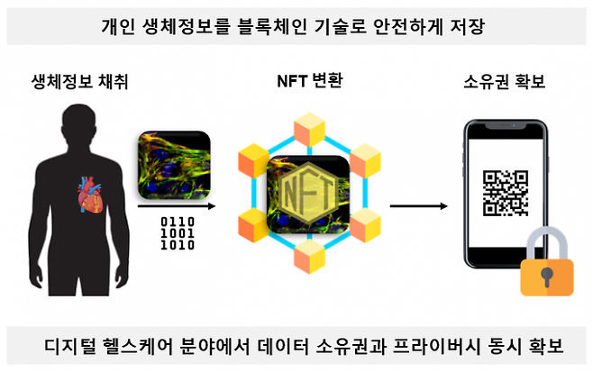 홍진기 연세대 교수팀이 개발한 개인 생체정보를 블록체인 방식으로 안전하게 저장하는 기술의 모식도. 연세대 제공