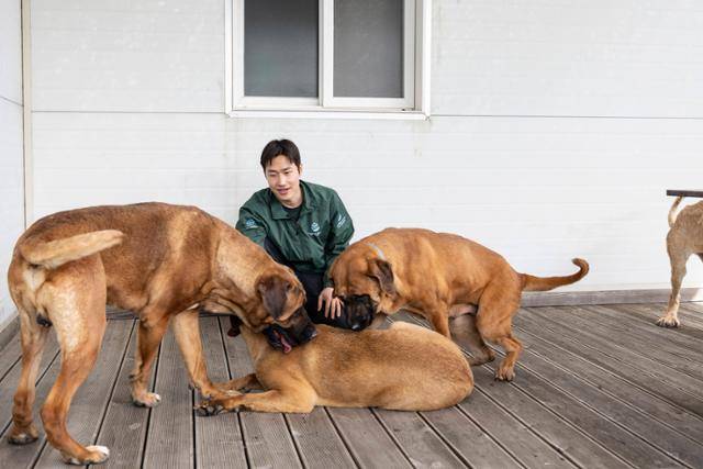 이상경 휴메인 월드 포 애니멀즈 캠페인 팀장이 지난달 경기 김포시 보호소에서 산불에 살아남은 개들과 시간을 보내고 있다. 휴메인 월드 포 애니멀즈 제공