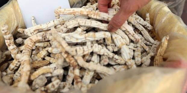 한 재래시장에서 상인이 백수오를 정리하고 있다./사진=연합뉴스