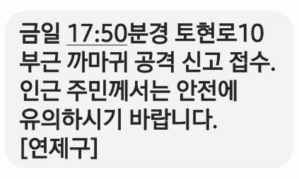 지난 1일 연제구가 까마귀 피해를 주의하라며 주민에게 보낸 안전안내문자.