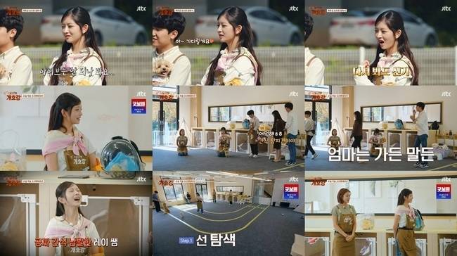 사진=JTBC ‘집 나가면 개호강’ 방송 캡처